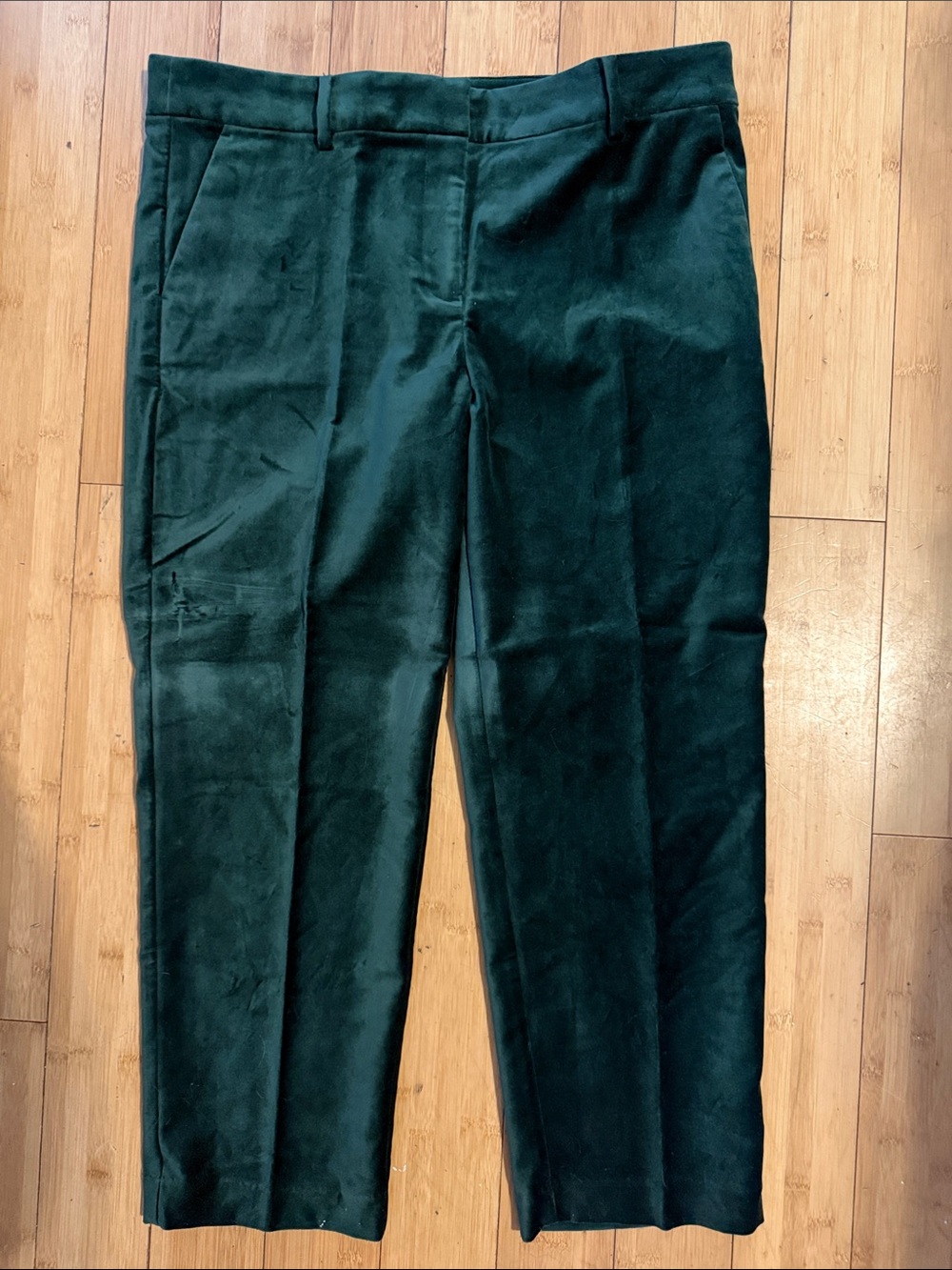 LOFT Sz 14 Riviera Slim Women's Dark Green Velvet Trousers
